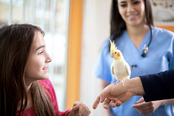 syndicat-veterinaire-rhone.fr
